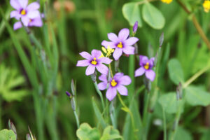 Why Spring Is the Ideal Time to Review Your Estate Plan