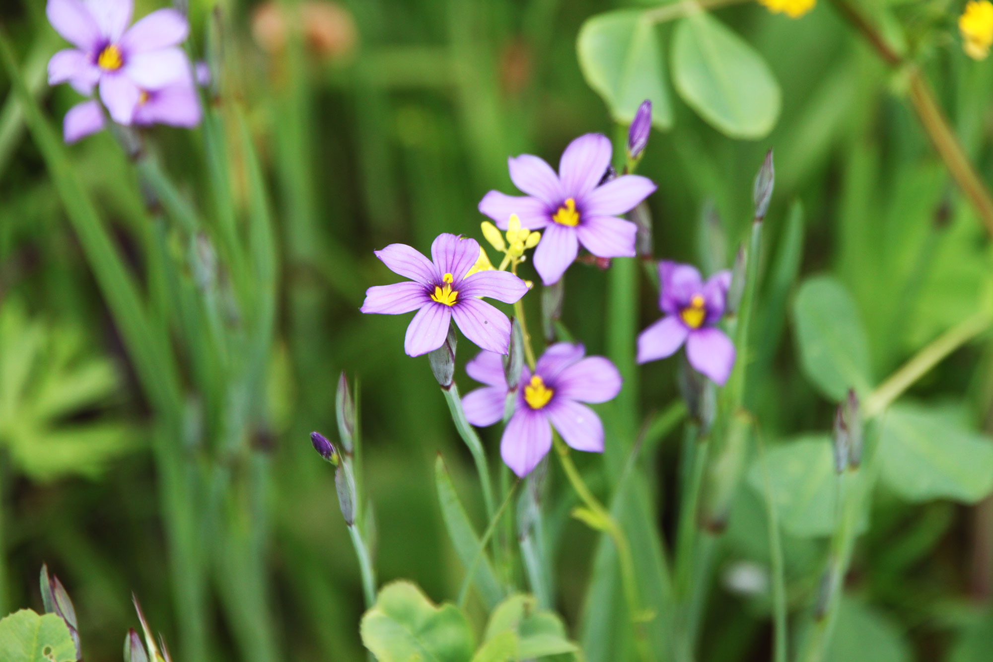 Why Spring Is the Ideal Time to Review Your Estate Plan