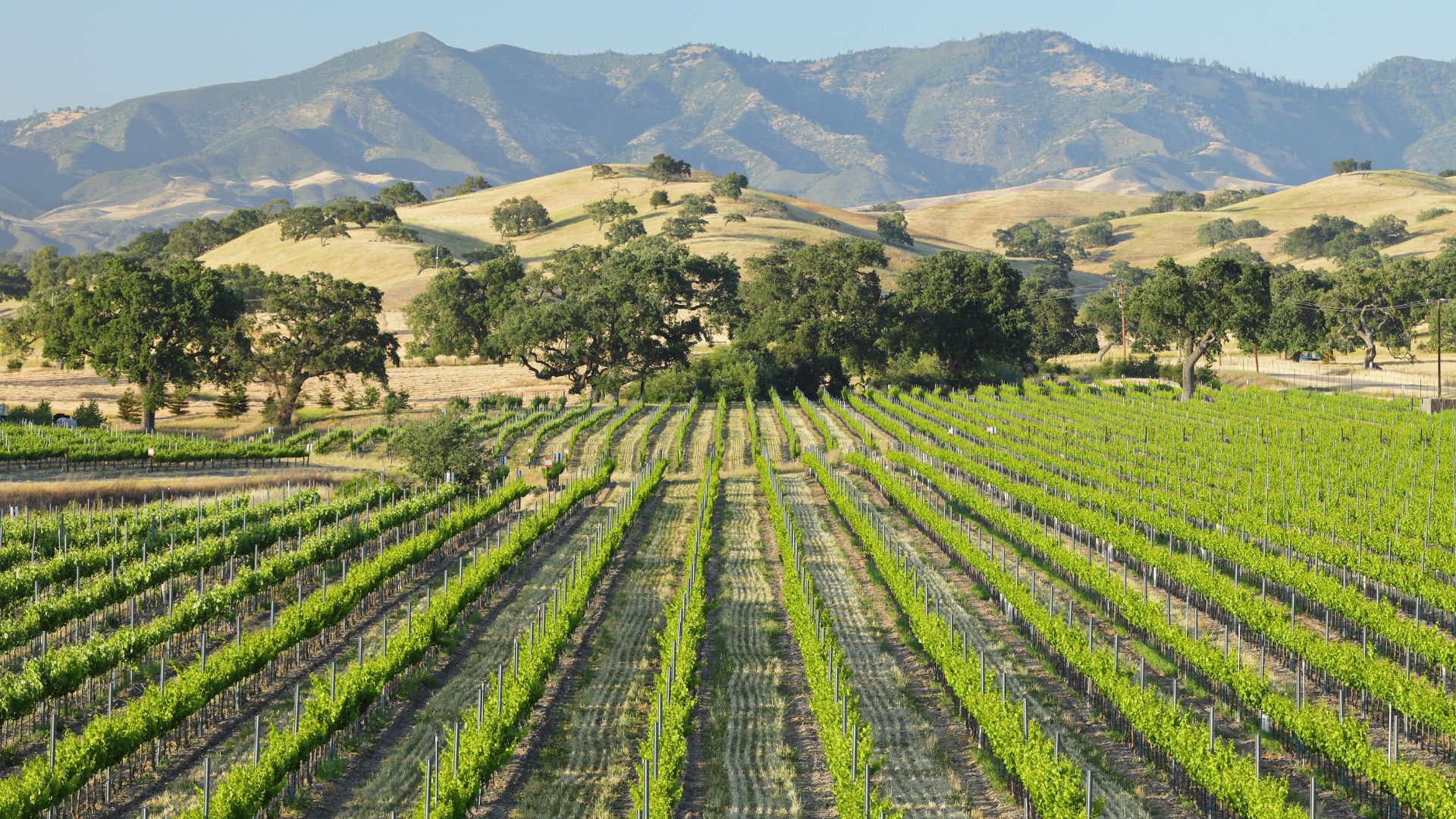 How Santa Barbara Estate Planning Attorneys Help Families Keep Homes After Tax Changes