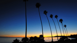 How Santa Barbara’s Tourism Economy Influences Local Business Law