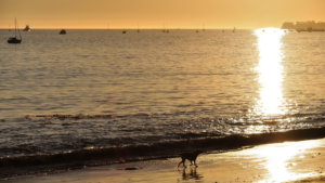 Examples of Life Changes in Santa Barbara That Require an Estate Plan Update